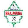 Brajaguna Logo